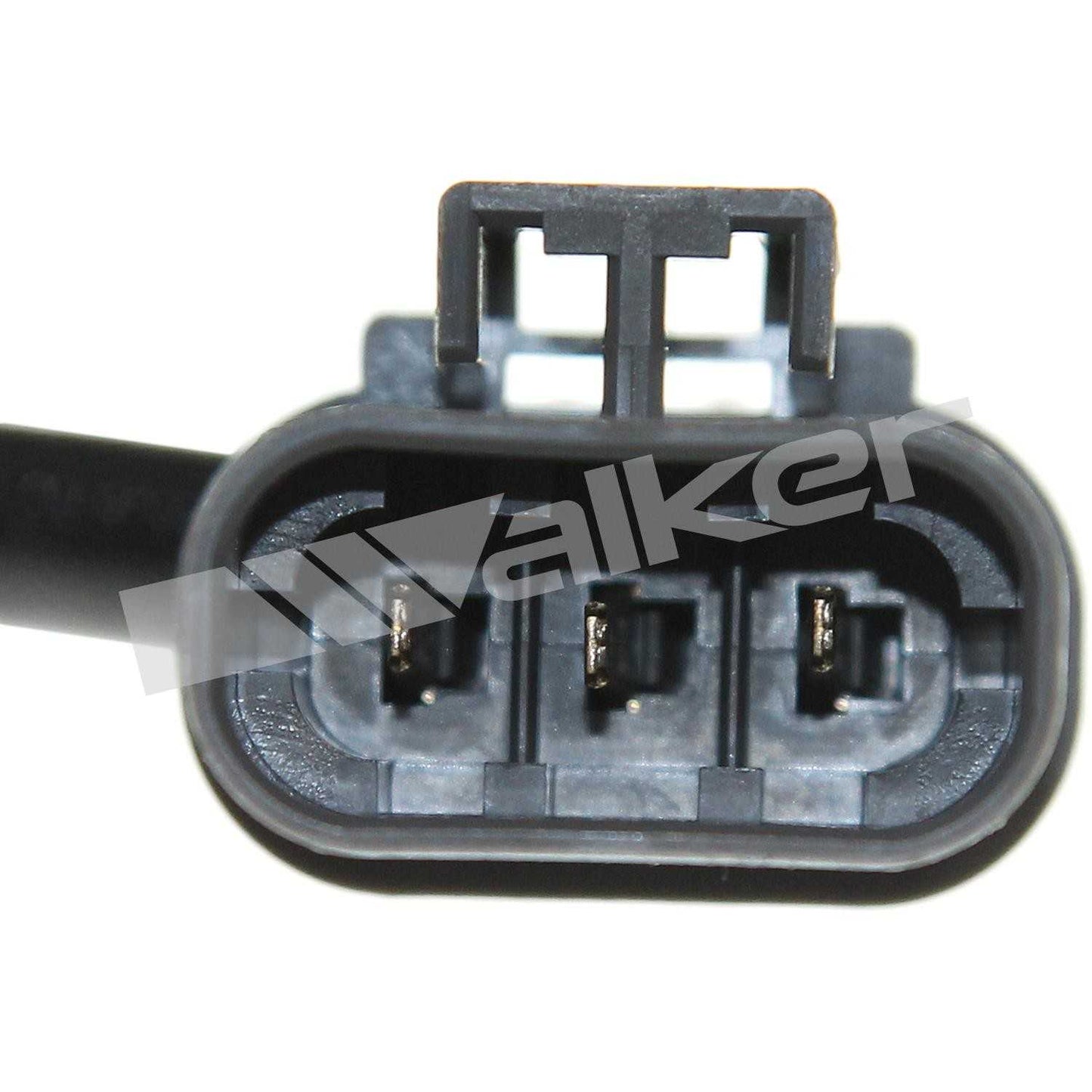 Walker Oxygen Sensor