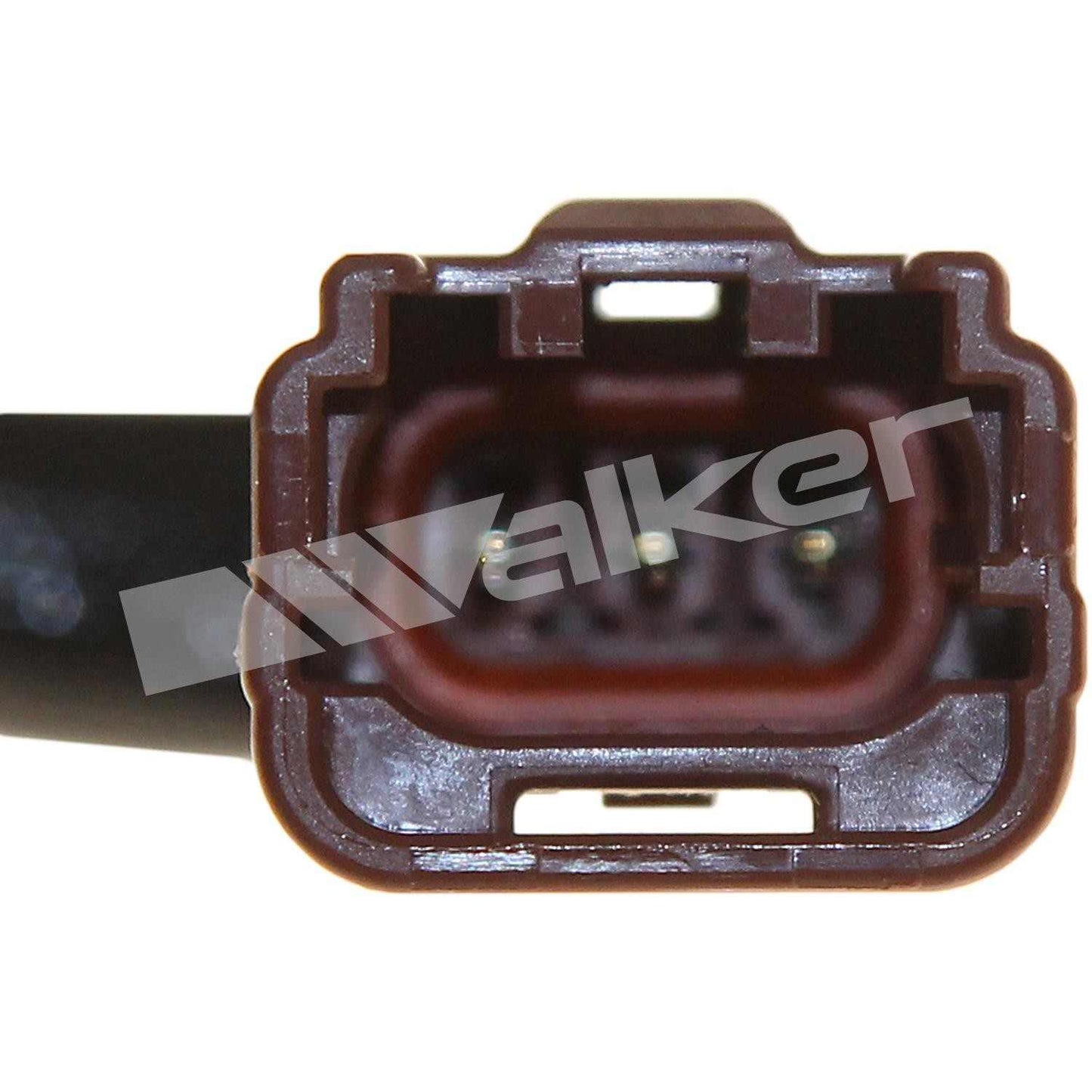 Walker Oxygen Sensor