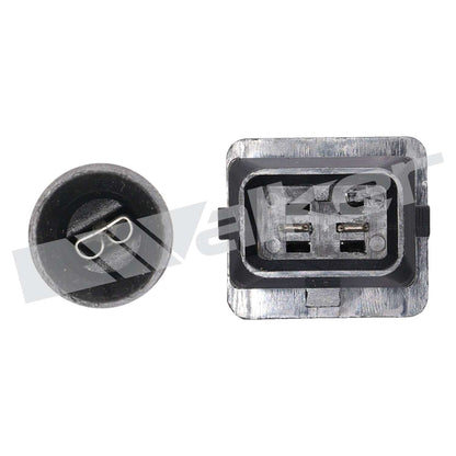Walker Oxygen Sensor