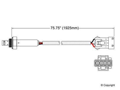 Walker Oxygen Sensor
