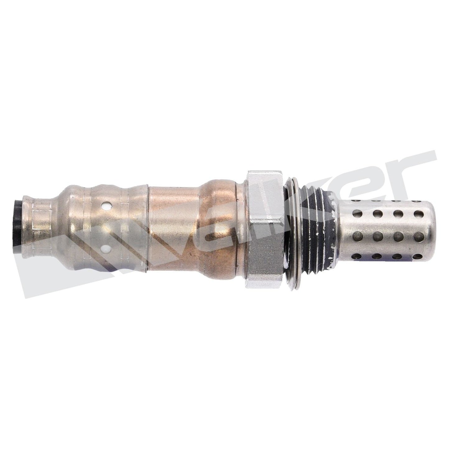 Walker Oxygen Sensor