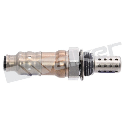 Walker Oxygen Sensor