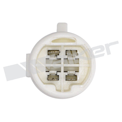 Walker Oxygen Sensor