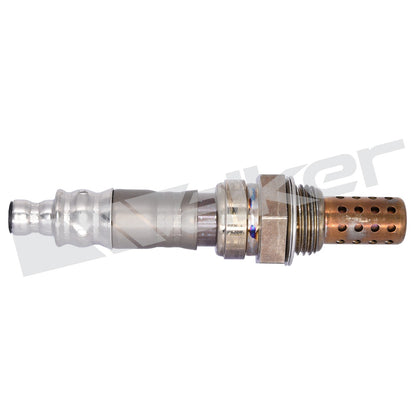 Walker Oxygen Sensor
