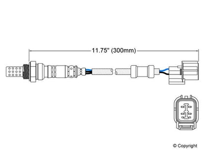 Walker Oxygen Sensor