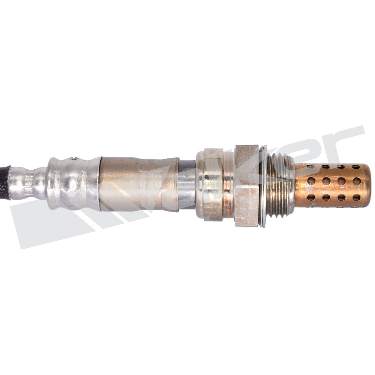 Walker Oxygen Sensor