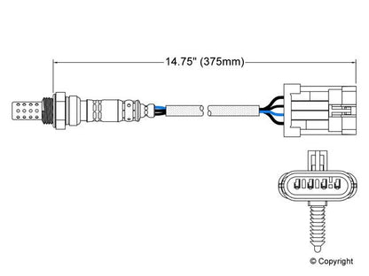 Walker Oxygen Sensor