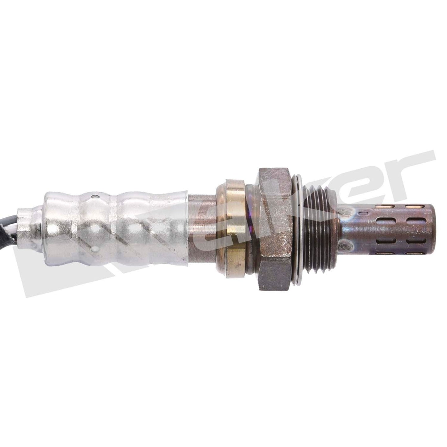 Walker Oxygen Sensor
