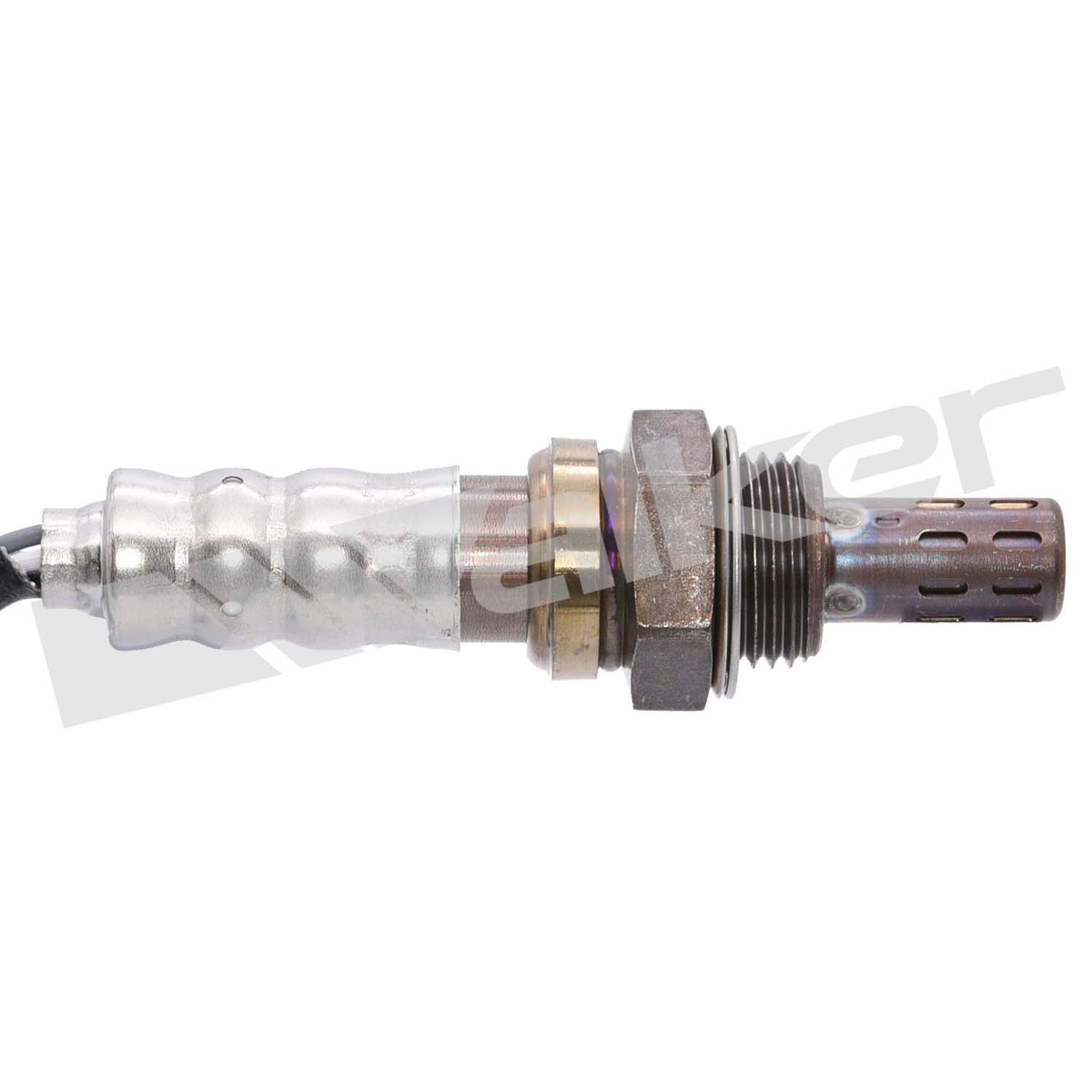 Walker Oxygen Sensor