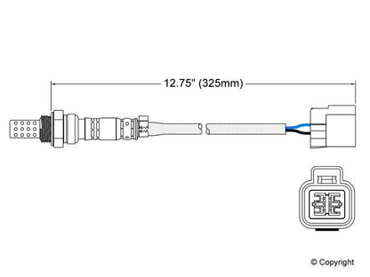 Walker Oxygen Sensor