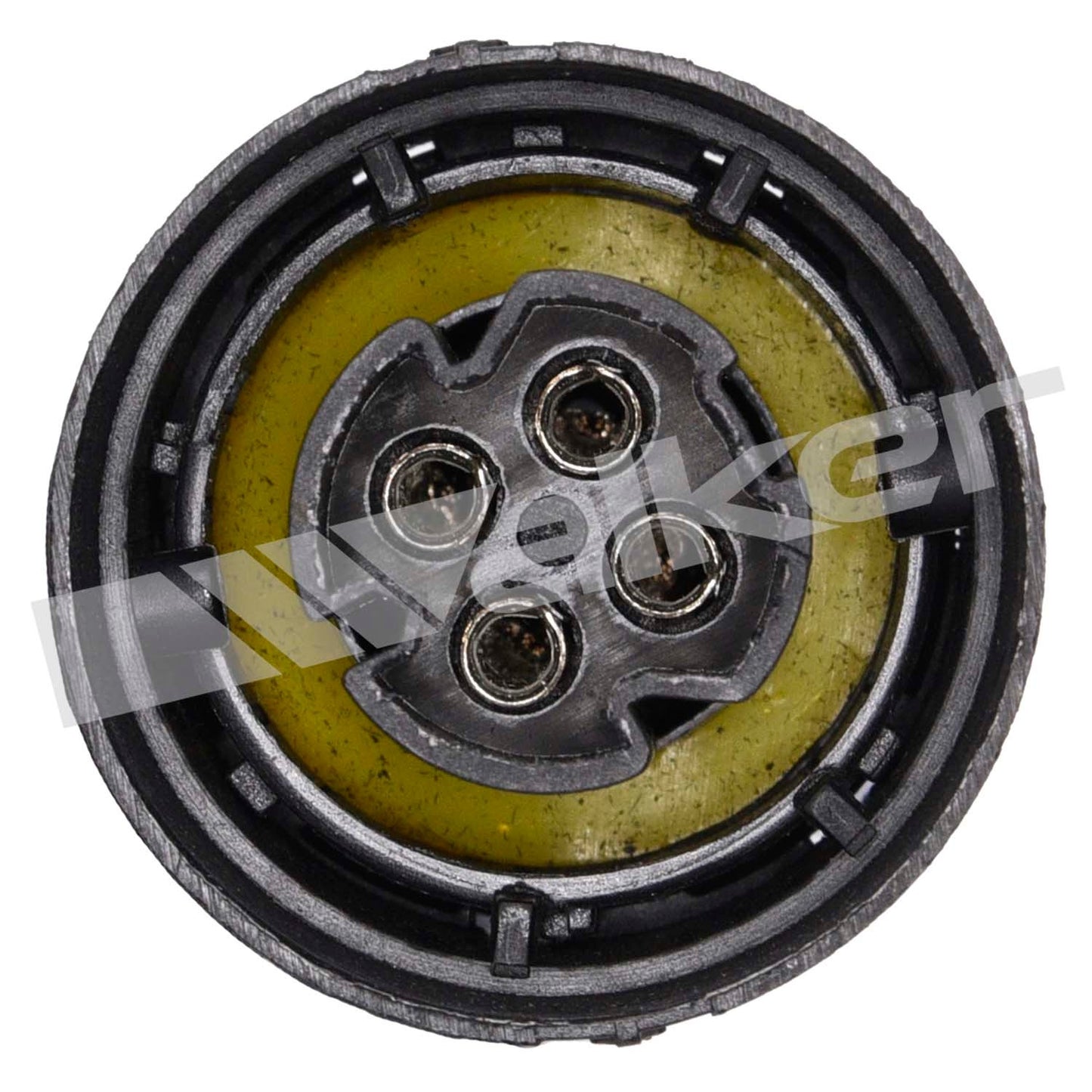 Walker Products Oxygen Sensor 250-24021