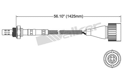 Walker Products Oxygen Sensor 250-24021