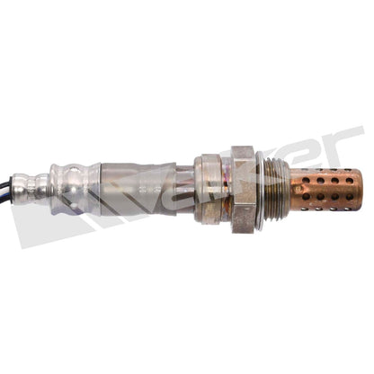 Walker Oxygen Sensor
