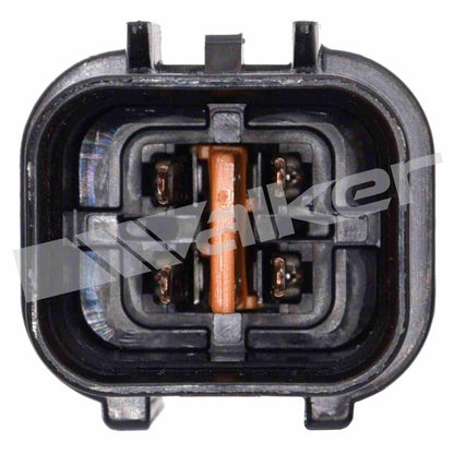 Walker Oxygen Sensor