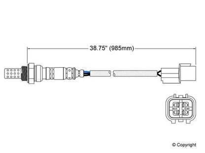 Walker Oxygen Sensor