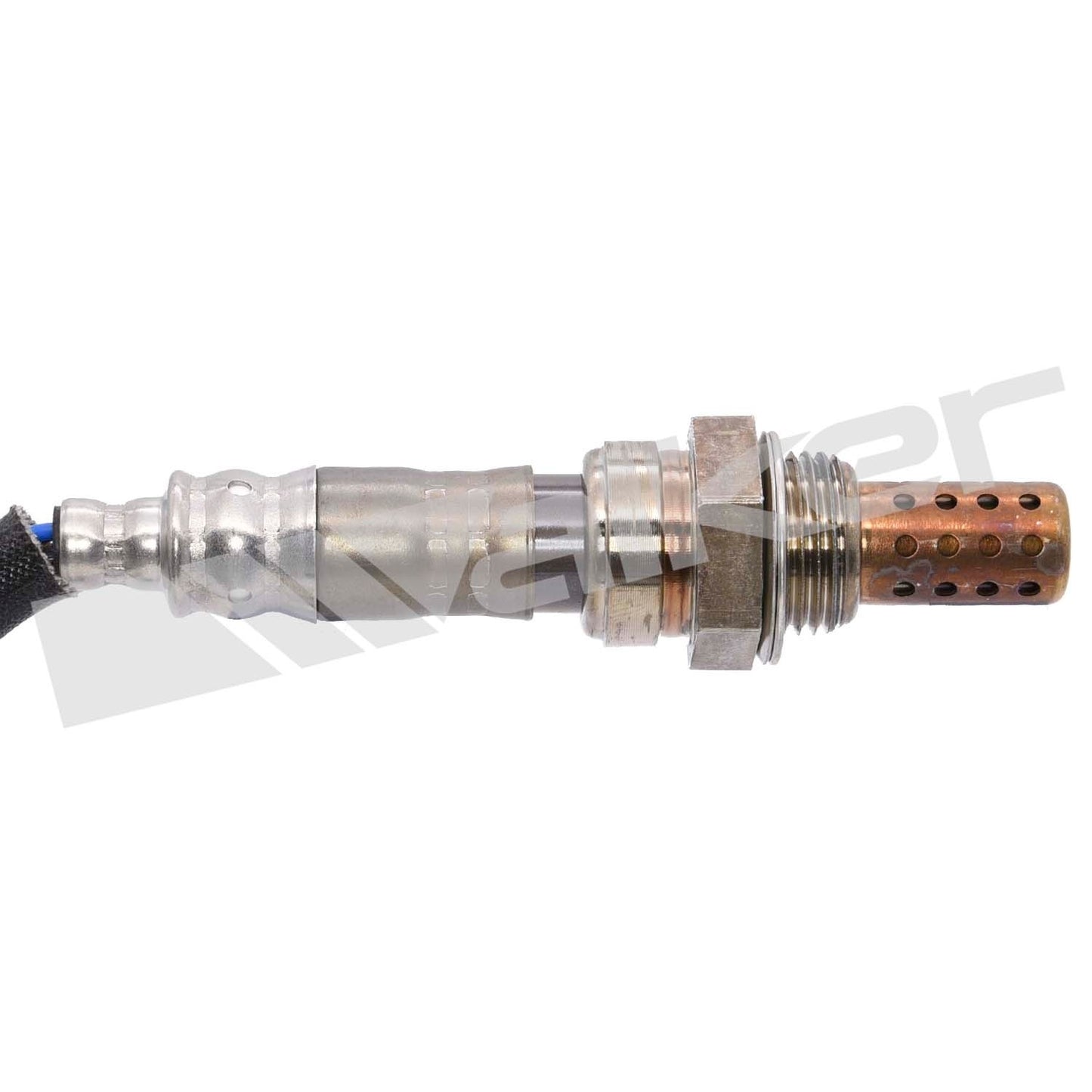 Walker Oxygen Sensor
