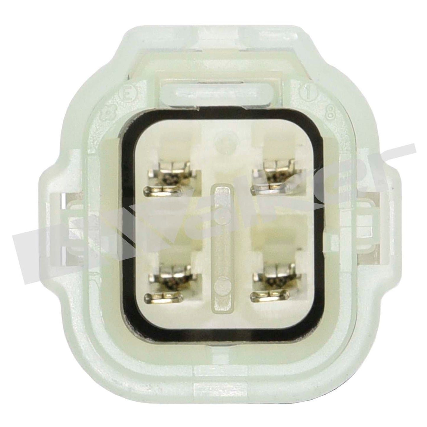 Walker Oxygen Sensor
