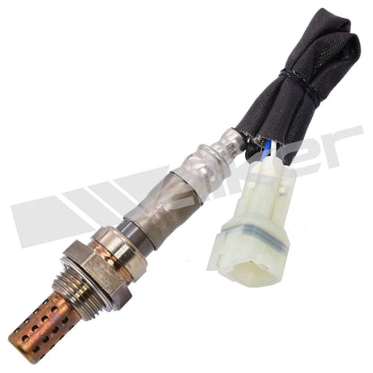 Walker Oxygen Sensor