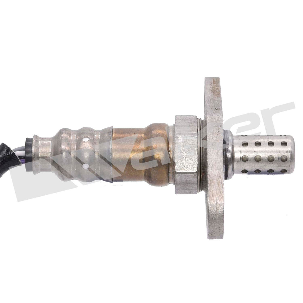 Walker Oxygen Sensor
