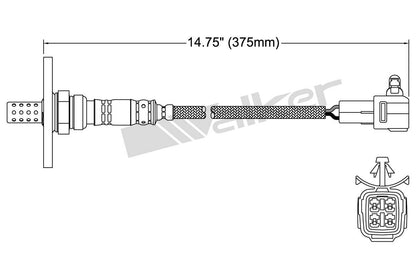 Walker Oxygen Sensor