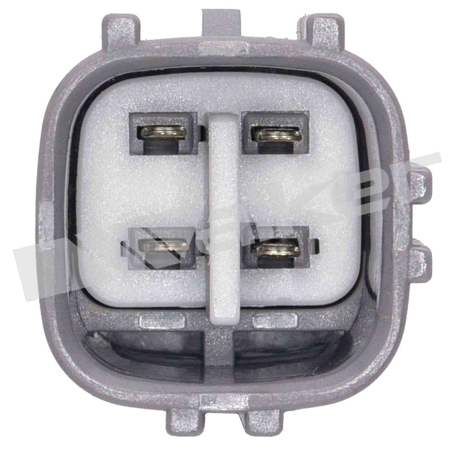 Walker Oxygen Sensor