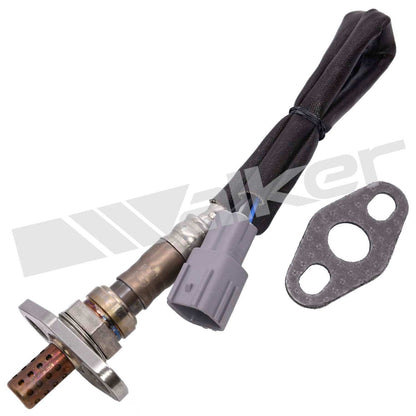 Walker Oxygen Sensor