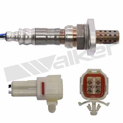 Walker Oxygen Sensor