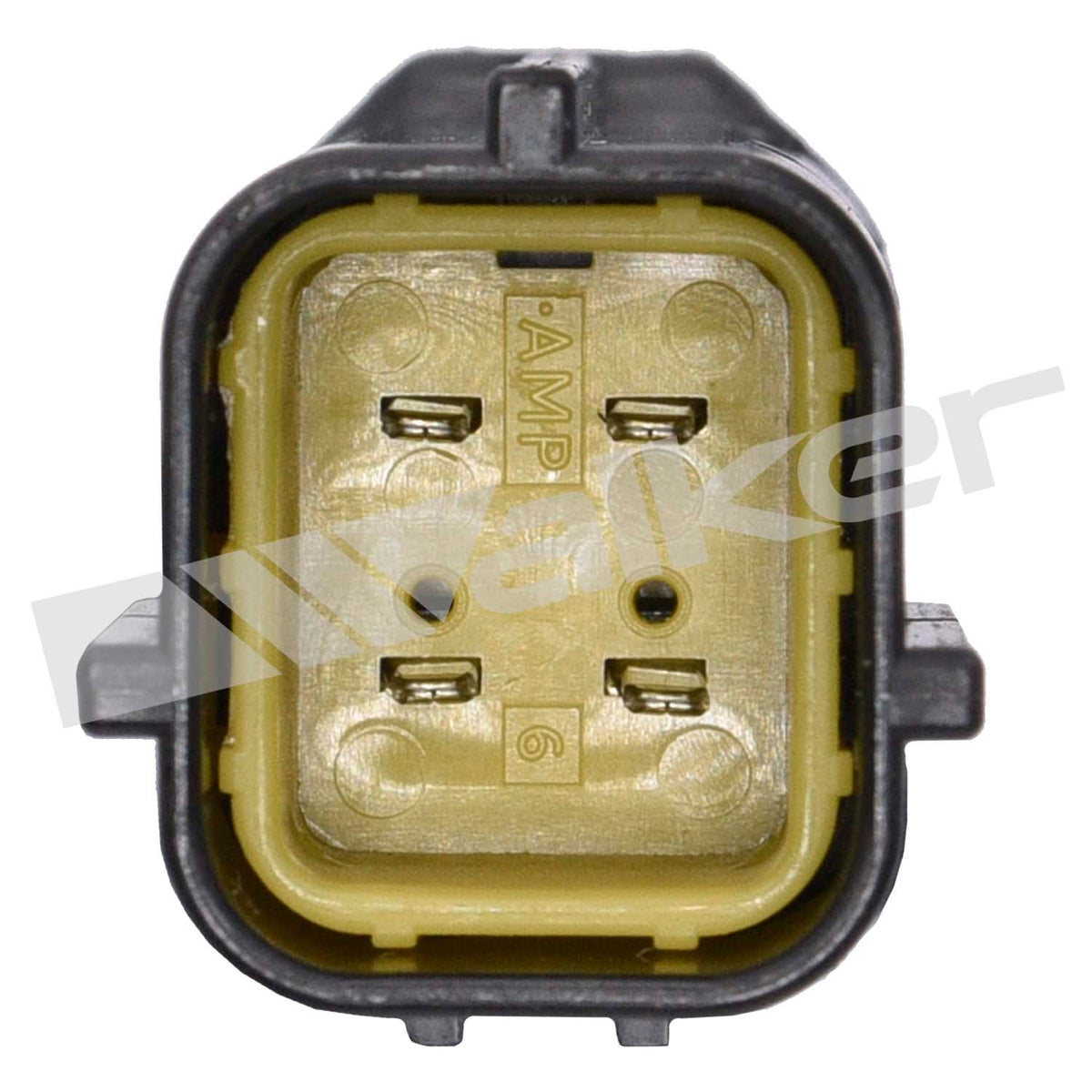Walker Oxygen Sensor