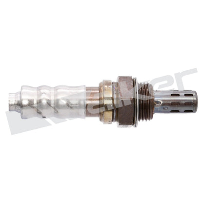 Walker Oxygen Sensor
