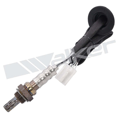 Walker Oxygen Sensor