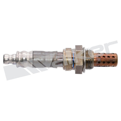 Walker Oxygen Sensor