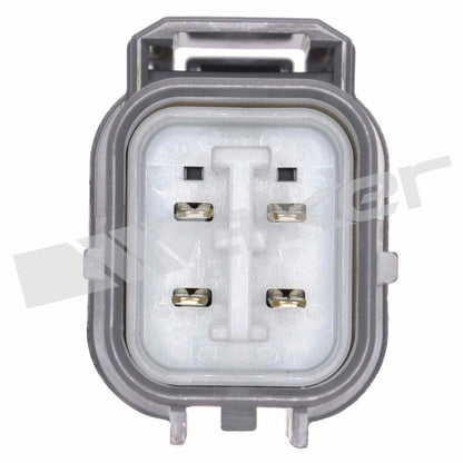 Walker Oxygen Sensor