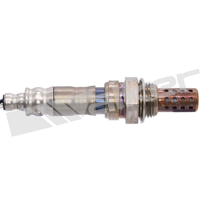 Walker Oxygen Sensor