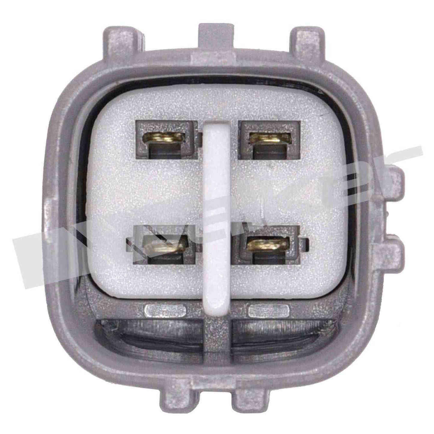 Walker Oxygen Sensor
