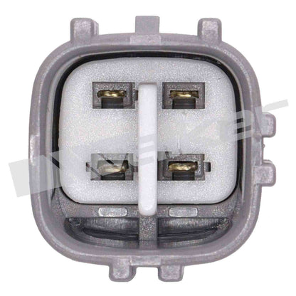 Walker Oxygen Sensor