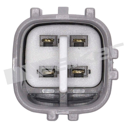 Walker Oxygen Sensor