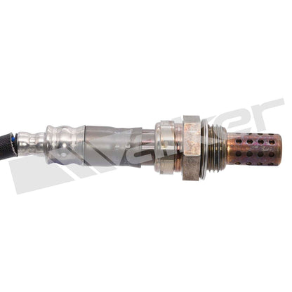 Walker Oxygen Sensor