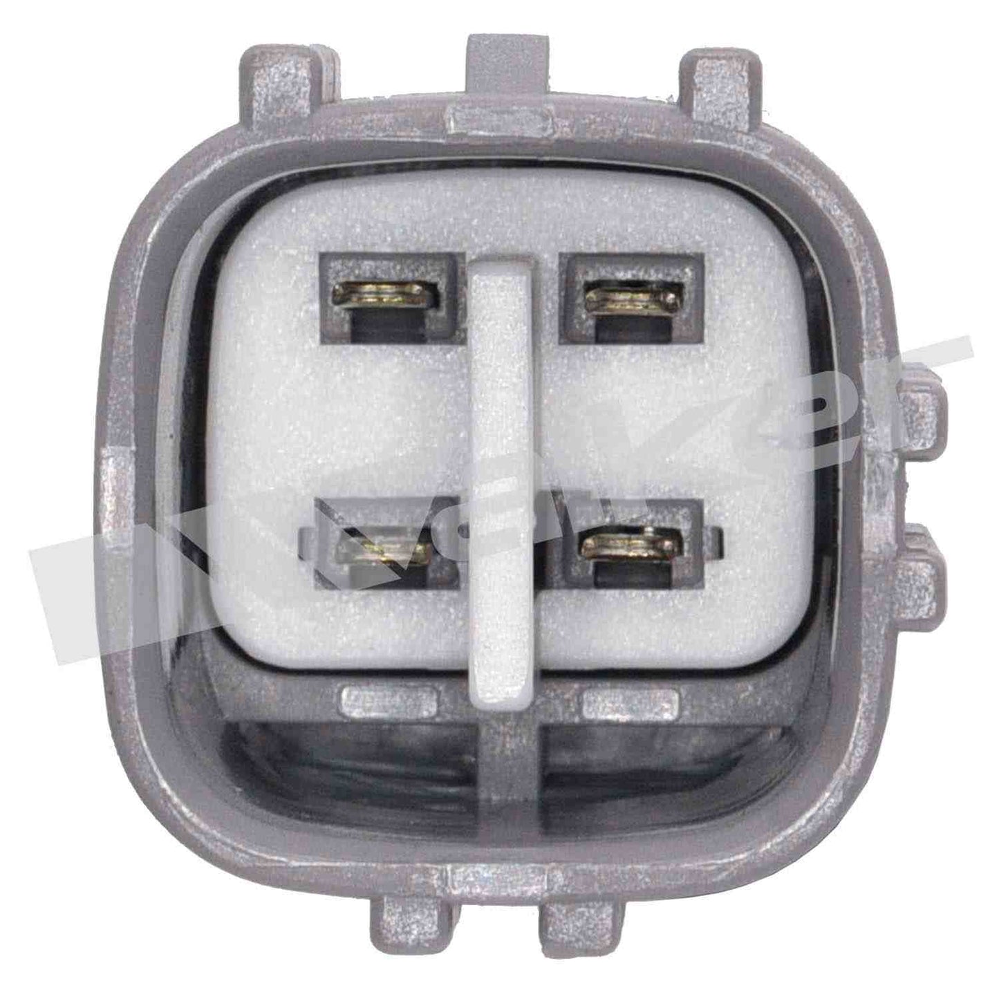Walker Oxygen Sensor