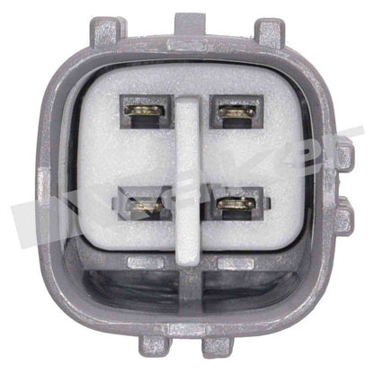 Walker Oxygen Sensor