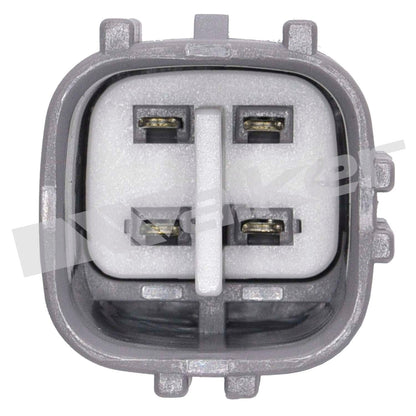 Walker Oxygen Sensor