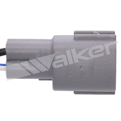 Walker Oxygen Sensor