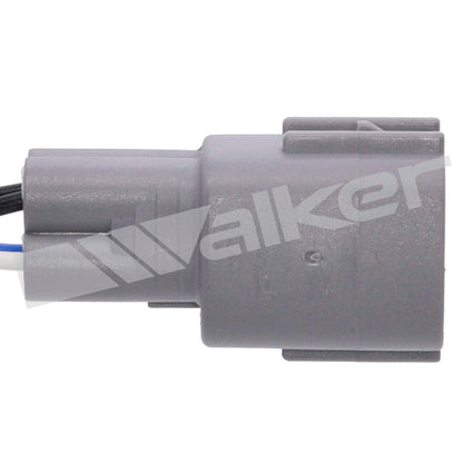 Walker Oxygen Sensor