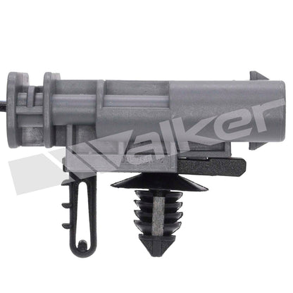 Walker 250241216