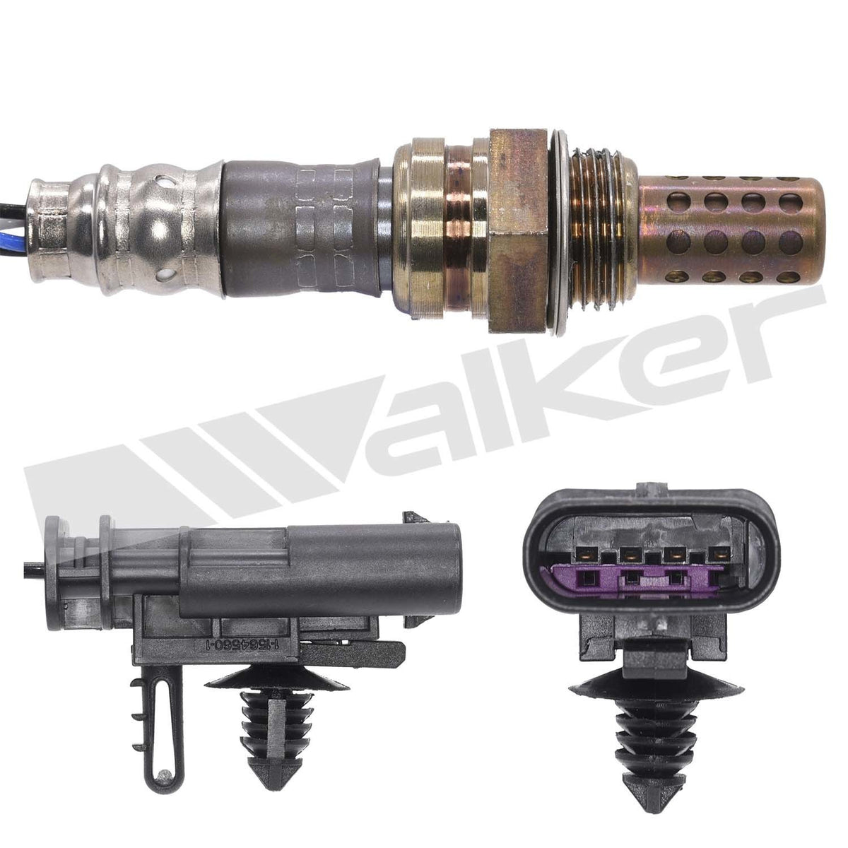 Walker 250241217