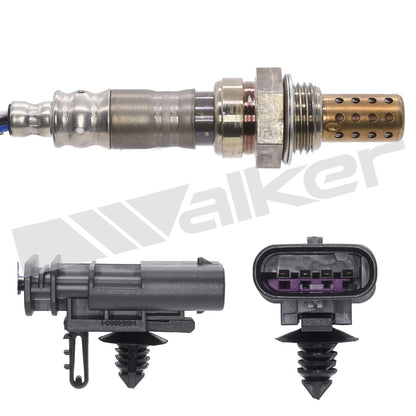 Walker 250241220