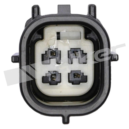 Walker Products 250241245