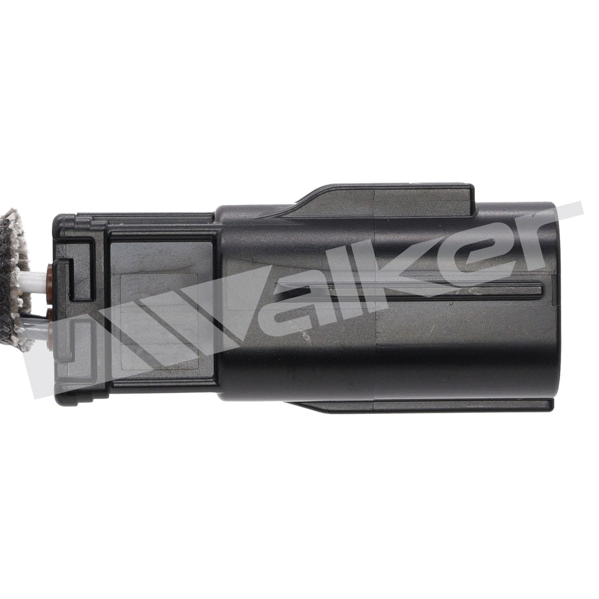 Walker 250241245