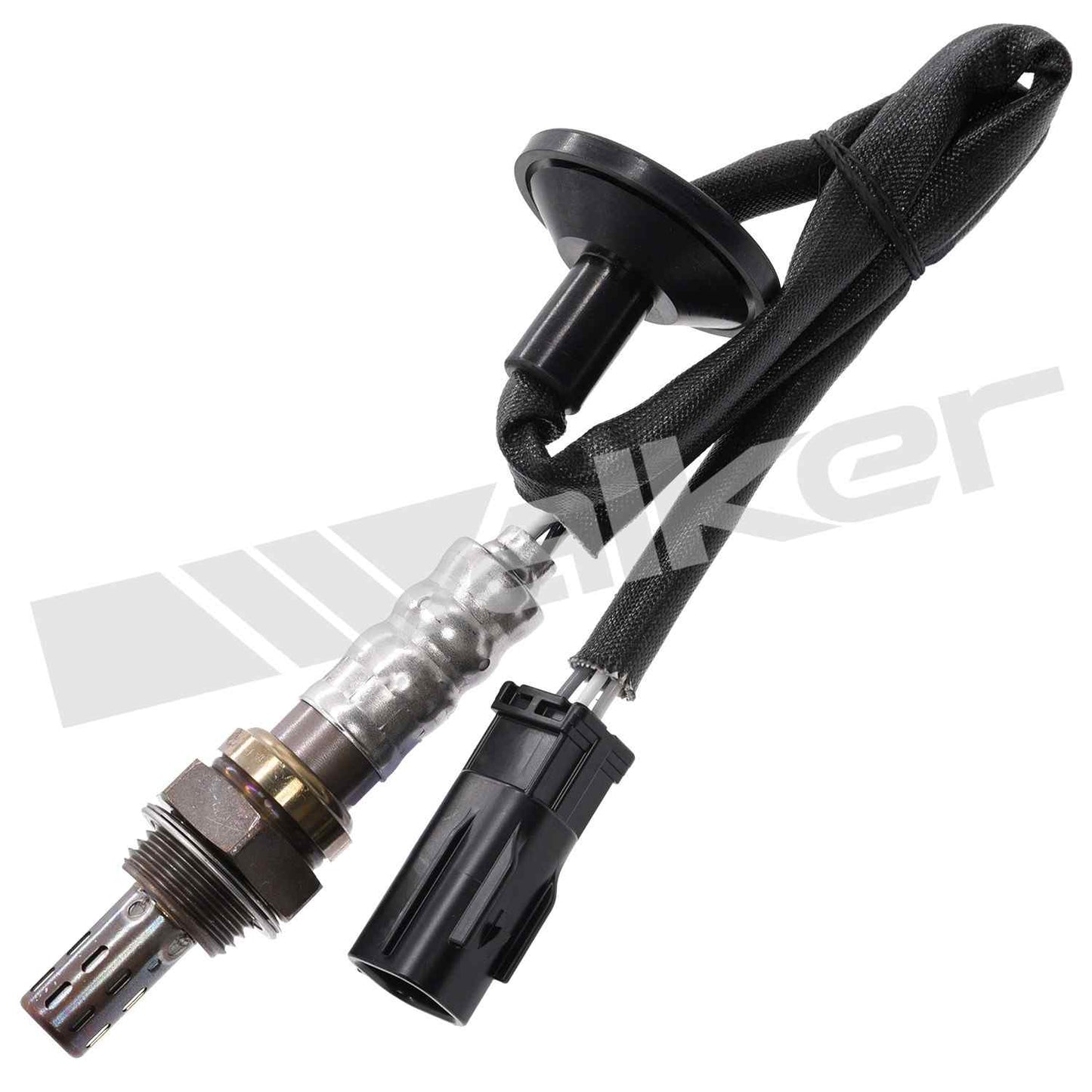 Walker 250241245