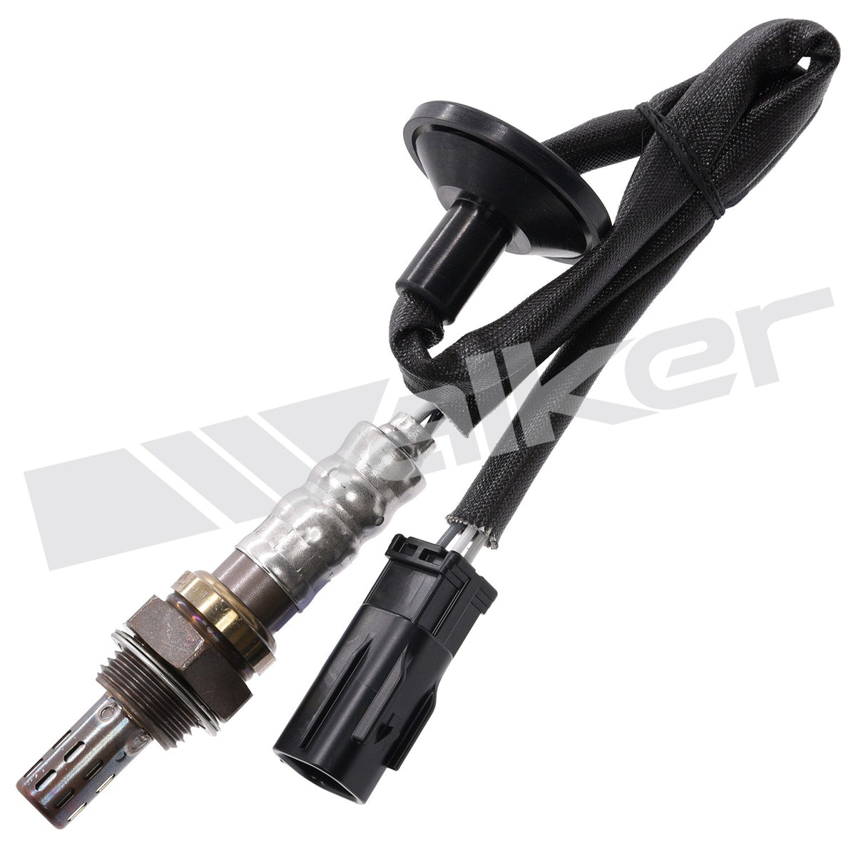 Walker 250241245