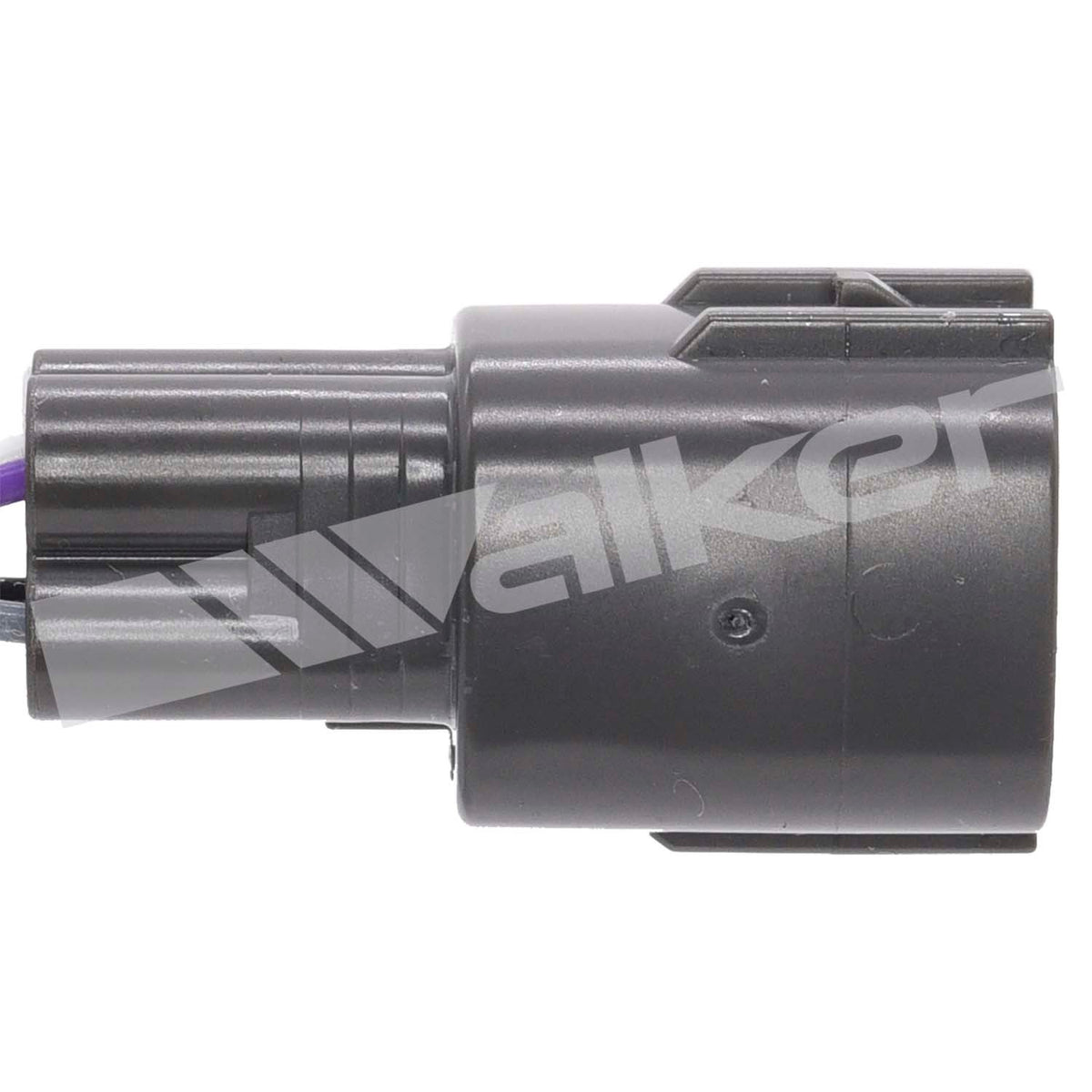 Walker 250241264